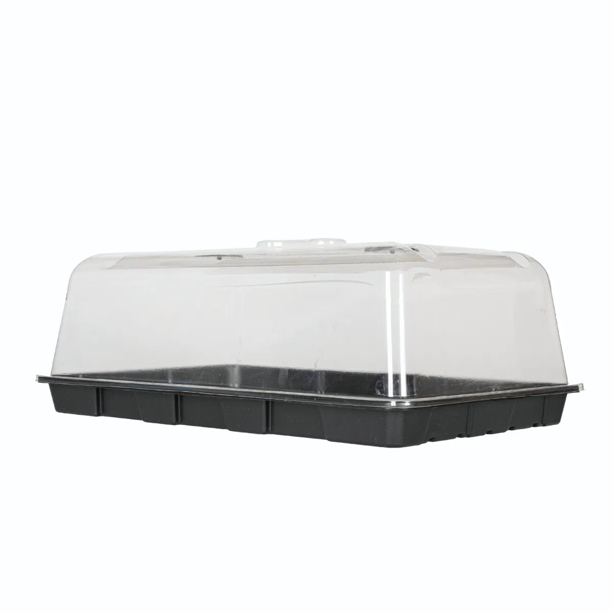 Flexible Propagator Lid & Base (58 × 38 × 24 cm - National Greenhouse