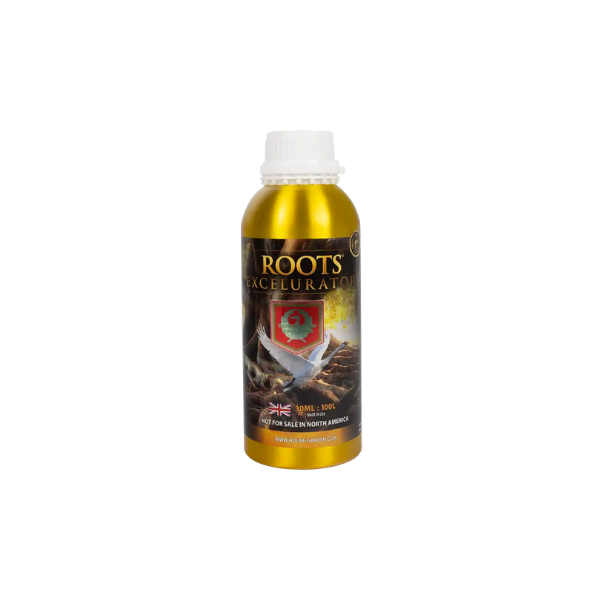 House & Garden Roots Excelurator - National Greenhouse