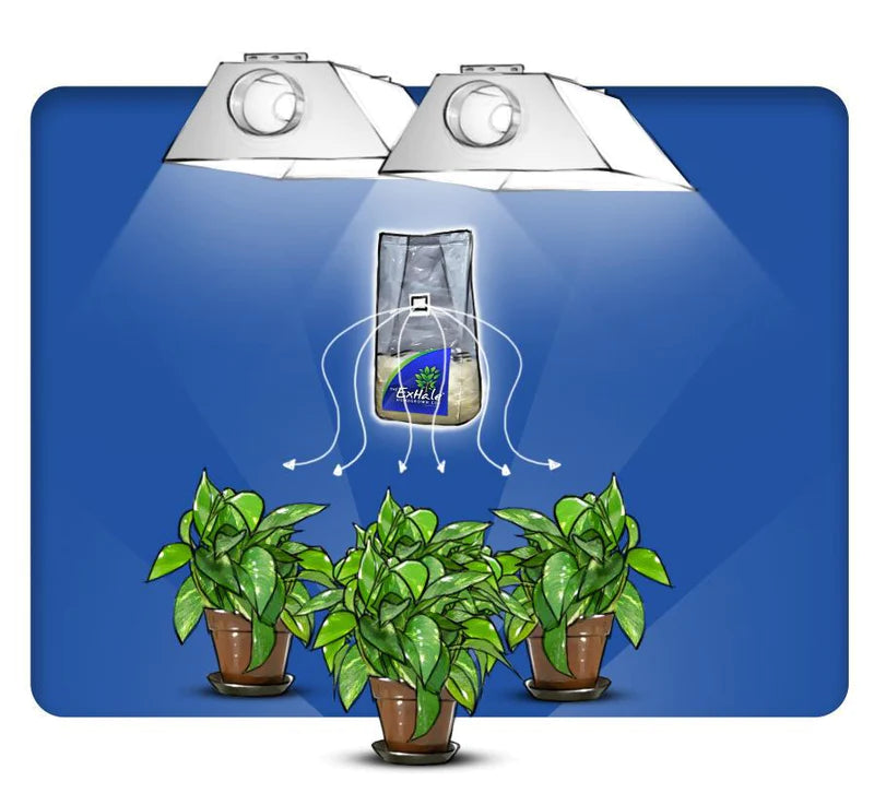 Exhale CO2 Bag - National Greenhouse