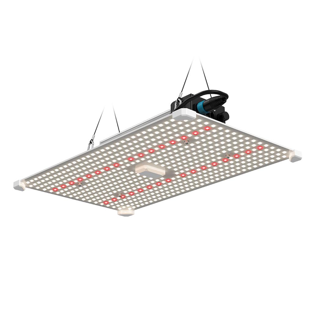 Lumii Black Blade 200w LED - National Greenhouse