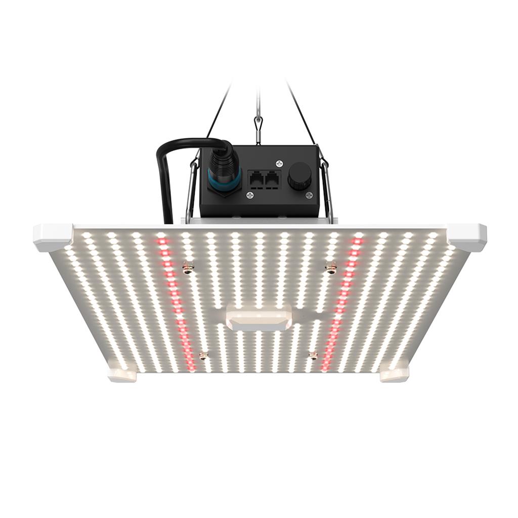 Lumii Black Blade 200w LED - National Greenhouse