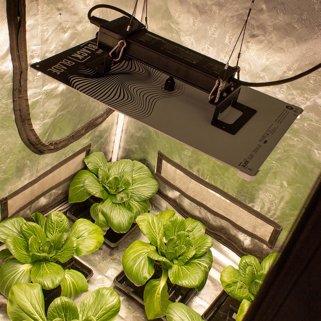 Lumii Black Blade 200w LED - National Greenhouse