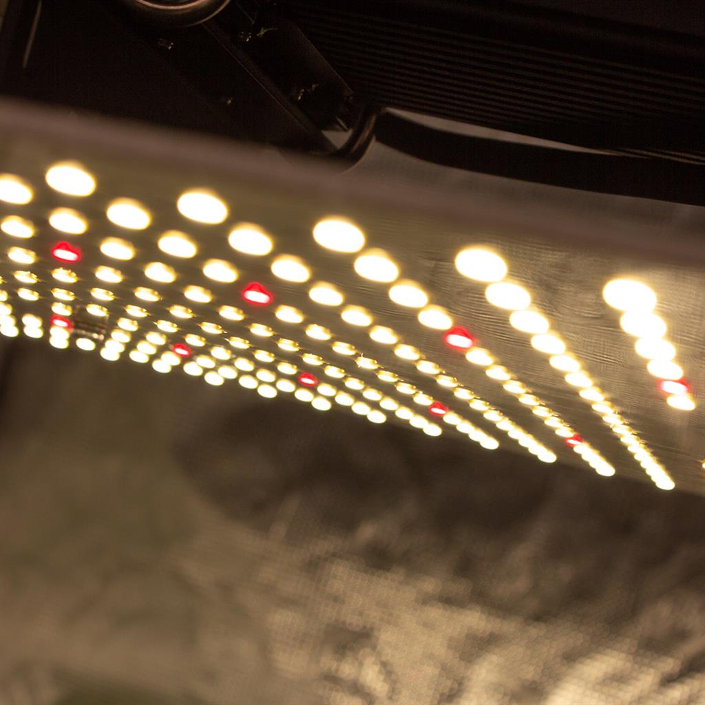 Lumii Black Blade 200w LED - National Greenhouse