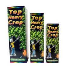 Hydrotops - Top Heavy Crop - National Greenhouse