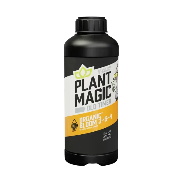 Plant Magic Oldtimer Bloom - National Greenhouse